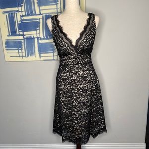White House Black Market Lace Cocktail Dress